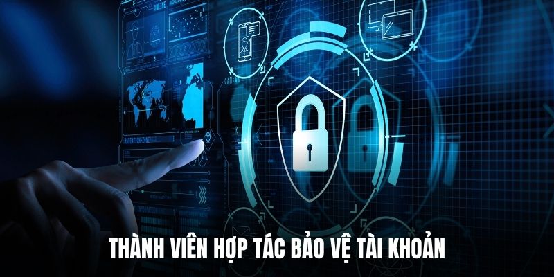 Thành viên hợp tác bảo vệ tài khoản.